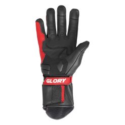 Glory Raptor X3 Motorbike Leather Gloves Front